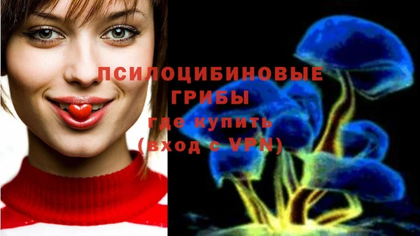 скорость Арсеньев