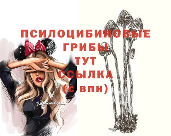 скорость Арсеньев