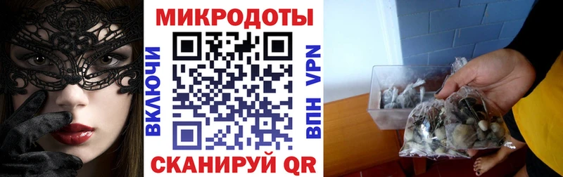 Псилоцибиновые грибы GOLDEN TEACHER  где купить наркотик  Бологое 